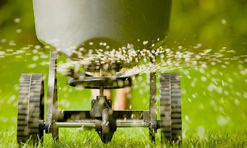 Fertilizer-pellets-spraying-from-spreader1