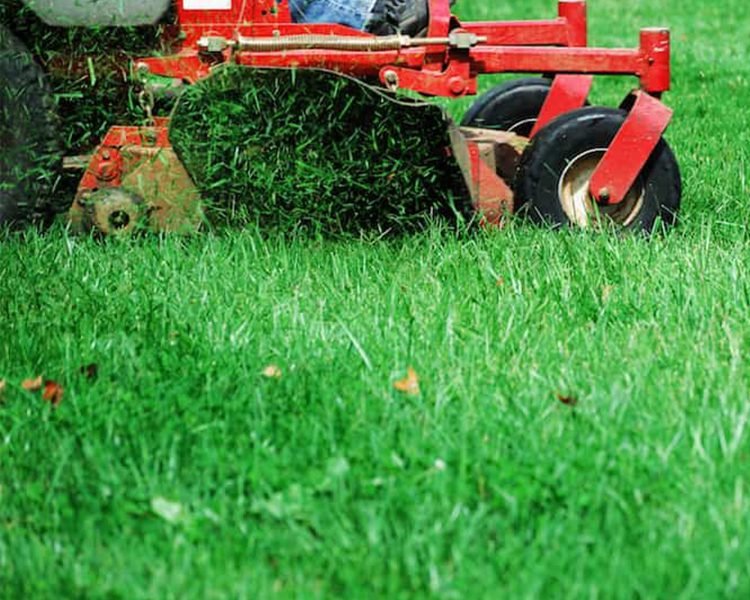 Lawn
